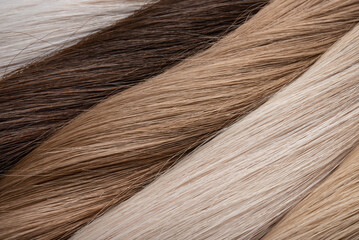 Texture or background of natural female hair of different colors. Hair extension. Donor hair.