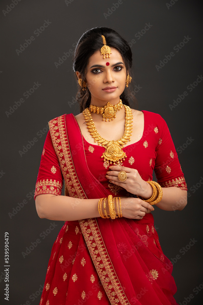 Wall mural pretty indian young hindu bride against grey background. - Wall murals