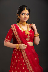 Fototapeta premium Pretty Indian young Hindu Bride against grey background.