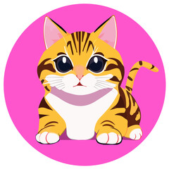 A cute cat on the pink background