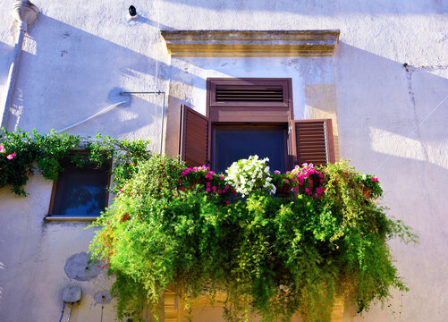 flowered balcony in Montalbano jonico Basilicata Italy
