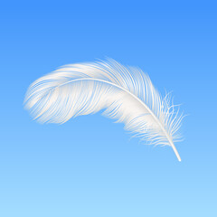 Fototapeta premium Vector 3d Realistic Falling White Fluffy Feather Closeup on Blue Sky Background. Design Template of Angel, Bird Detailed Feather. Lightness and Freedom Concept