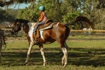 young boy with a horse riding and feeding and petting 