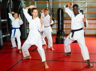 Fototapeta premium Multiracial group of men and women in kimono performing kata in gym during training.