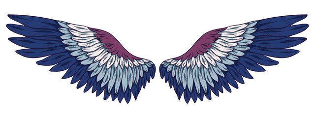 Beautiful magic blue wings, vector illustration
