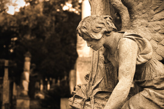Beautiful statue of angel at cemetery, space for text. Sepia tone