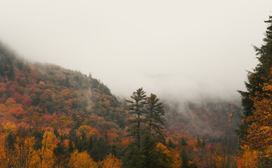 autumn in the mountains