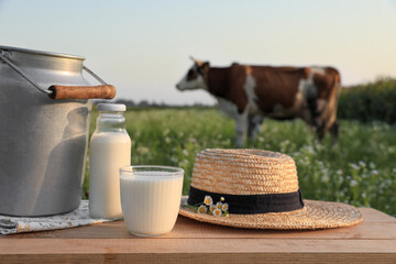 Milk, straw hat with camomiles on wooden table and cow grazing in meadow