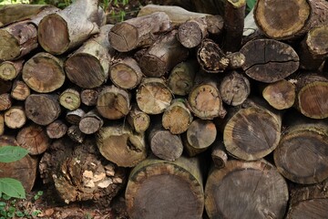 Pile of different cut wood logs outdoors, closeup