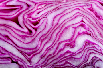 Obraz premium Fresh ripe red cabbage as background, closeup
