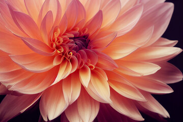 illustration of a dahlia, beautiful image of a flower