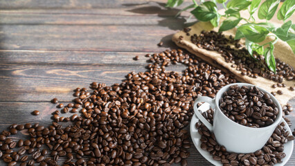 コーヒー豆と陽のあたる部屋