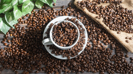 コーヒー豆と陽のあたる部屋