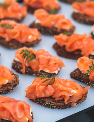 Catering table, beautifully decorated banquet with variety of with different food snacks appetizers on corporate birthday party event or wedding celebration, canape, salad, delicatessen setting