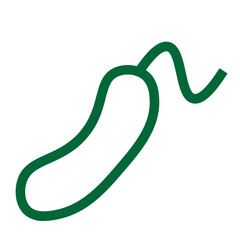 cucumber eat salad vegetable icon