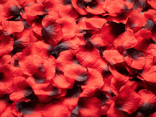 Decorative artificial rose petals as an abstract background