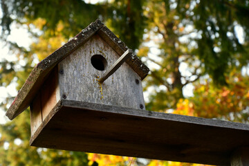 An image of an old wooden handmade bird house.