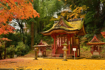 japanese shrine in autumn