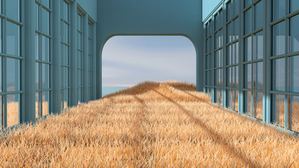 Meadow in the room. 3D illustration, 3D rendering