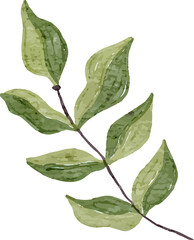 Green Leaf Watercolor Clip Art
