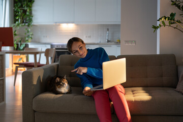 Fototapeta premium Businesswoman works on laptop and talks with friend via videocall. Young woman in blue sweater discusses issues with colleagues and shows adorable domestic cat wanting to play with owner in cozy room