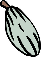 cacao fruit doodle drawing