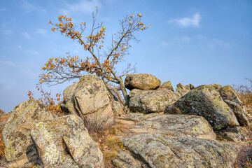 Kogelsteine in Nieder&ouml;sterreich
