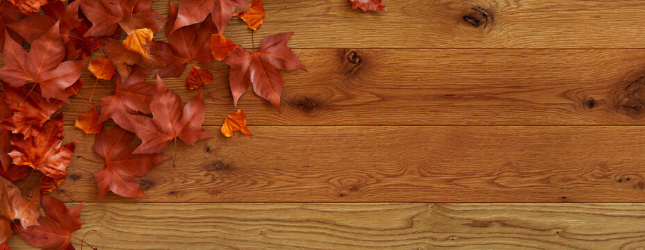 Top down view of Natural wood Tabletop with leaves.