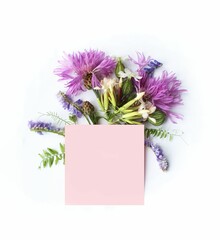 A light pink sheet of note paper framed by a lilac wildflower on a white background. Summer flower arrangement. Background for a greeting card.