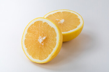 輪切りにしたグレープフルーツ　grapefruit