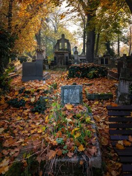Rakowice w Krakowie w słoneczny, jesienny dzień