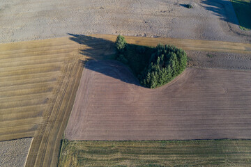 Crop fields and grove in nature park, aerial view - 539623280