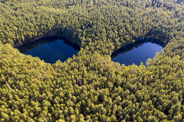 Forest face, forest eyes. Two small lakes in forest, aerial view - 539623403