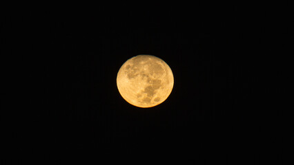 Obraz premium Waning gibbous moon (after full moon) seen from Tokyo, Japan on an August night. Close details of craters and surface. Beautiful clear evening.