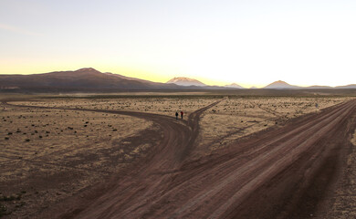 Fototapeta na wymiar Estradas de terra em meio ao deserto do altiplano boliviano