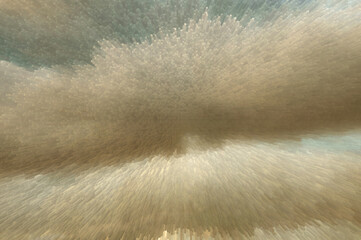 The background is made up of clouds in the sky.