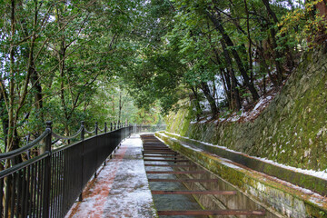 京都の冬の琵琶湖疎水