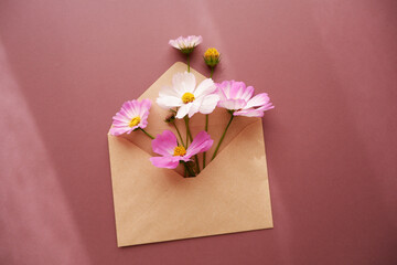 Beautiful autumnal flowers composition. Pink and white cosmos flowers with craft paper envelope on brown background. Flat lay, top view, copy space. 