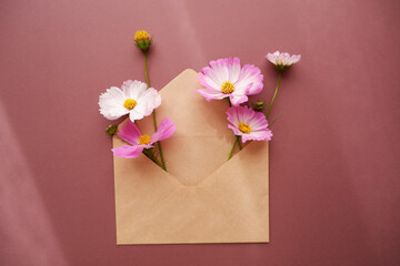 Beautiful autumnal flowers composition. Pink and white cosmos flowers with craft paper envelope on brown background. Flat lay, top view, copy space. 