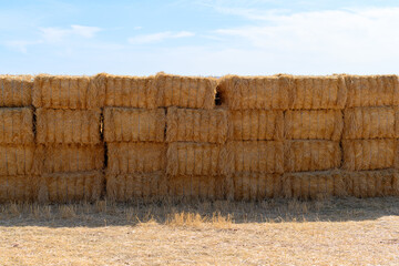 Large pile of straw squares
