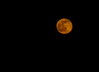 the disk of the orange moon in the dark sky