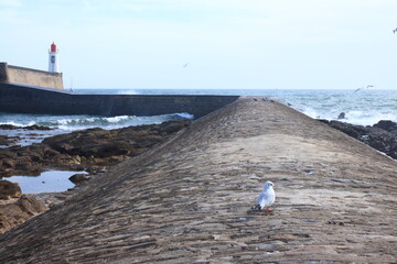 Bout du phare