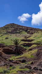 Vereda da Ponta de São Lourenço hiking trail, Madeira	