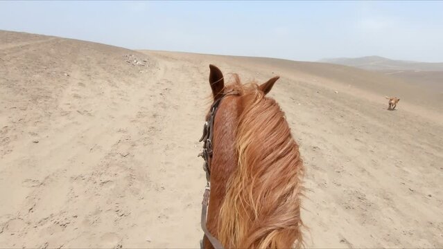 POV Riding, Galloping Chestnut horse going up a deserted trail