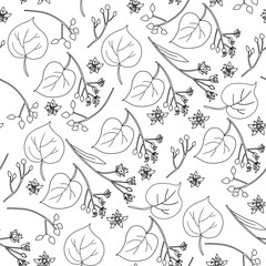 Seamless pattern Linden flower blossom brunch, decorative graphic basswood vector hand drawn ink illustration isolated on white, honey flower outline background for design herbal tea, cosmetic