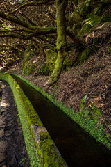 Vereda das 25 fontes hiking on Maderia