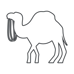 camel animal linear