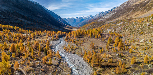 Panoramic aerial view of the Fafler in Lötschental valley in autumn season with the winding Lonza river and yellow larch trees