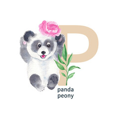 Letter P, panda and peony, cute kids animal and flower ABC alphabet. Watercolor illustration isolated on white background. Can be used for alphabet or cards for kids learning English vocabulary and