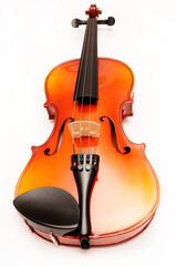 classical violin, string music instrument